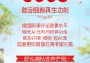 别再被“一口价”忽悠了！算清代理AI多美丽要多少钱，这里头门道可深了